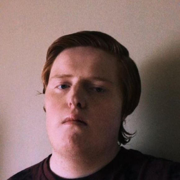 Meet your Posher, Dillon - Picture 1 of 1